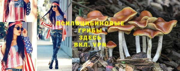 экстази Богородск