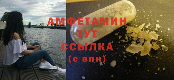 дживик Богородицк