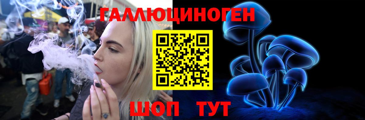 Галлюциногенные грибы Psilocybe  наркотики  Наро-Фоминск  Вход с VPN 